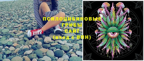 стафф Богородск