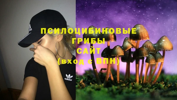 стафф Богородск