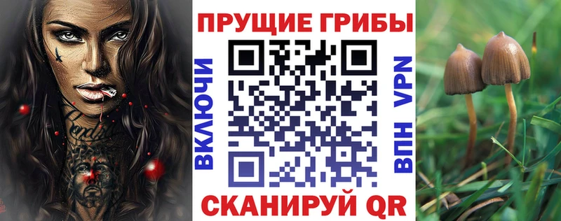 Псилоцибиновые грибы мицелий  гидра зеркало  Ульяновск  что такое  